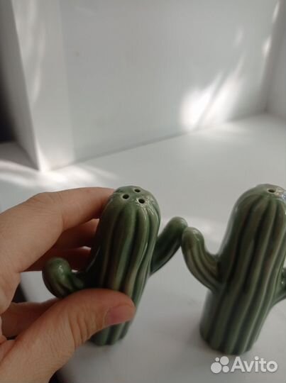 Набор редких кактусов HM Home