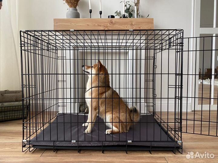 Новый Вольер для собак