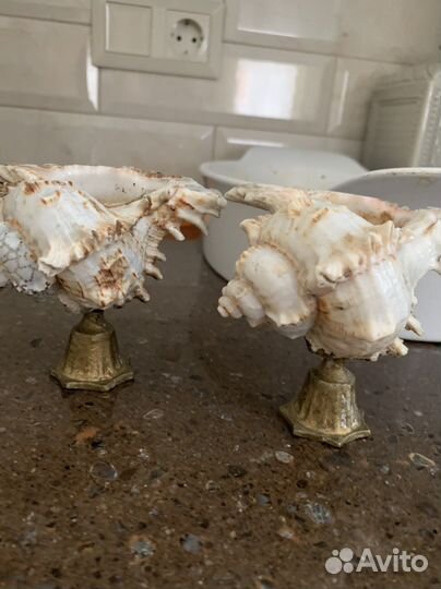 Ракушки статуэтки
