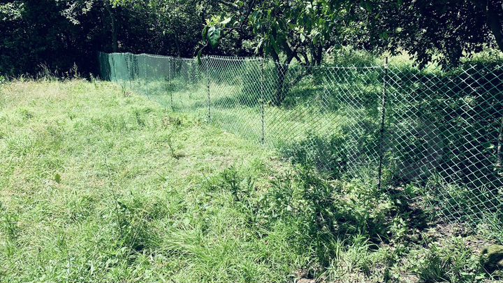 Участок 6 сот. (ИЖС)