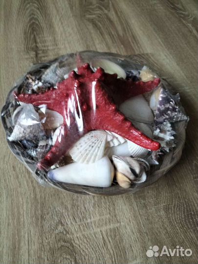 Ракушка набор подарочный