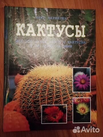 Книги с кактусами на обложке. Энциклопедия кактусов. Книги про кактусы. Книги про кактусы. Большая книга про кактусы.