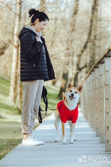 Манго ищет свою семью