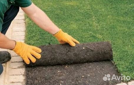 Укладка газона