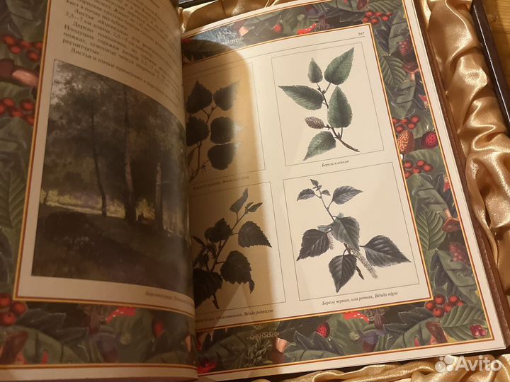 Коллекционное издание русский лес