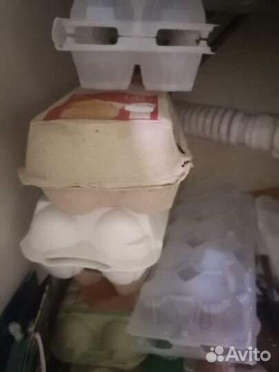 Контейнеры для яиц