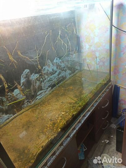 Аквариум огромный 400 литров
