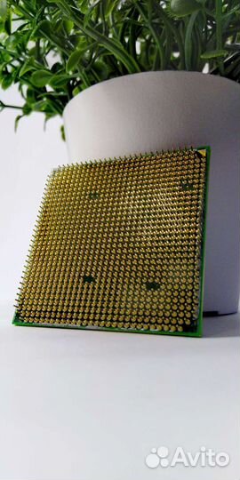 Amd Athlon 4000+