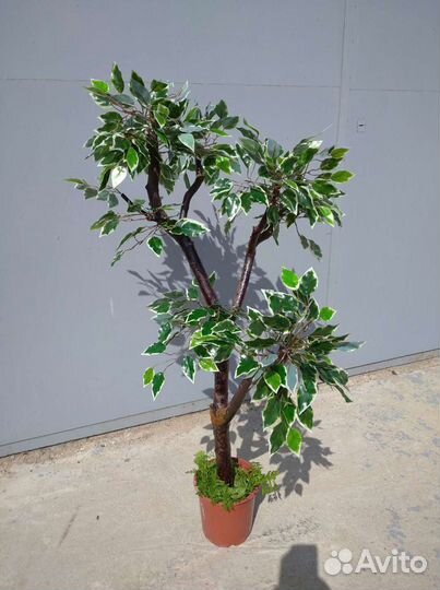 Дерево искусственное