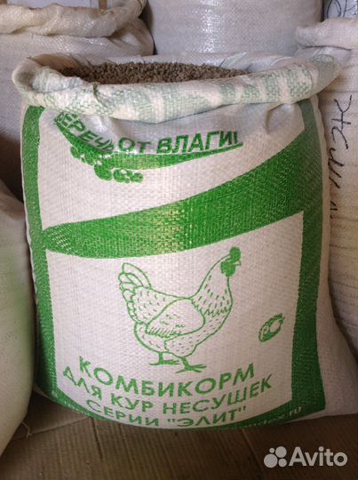 Корм для несушек, цыплят Крупа