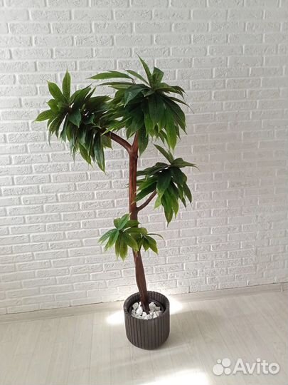 Искусственное дерево/Манго/Фикус