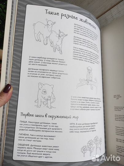 Детские книги раскраски с постерами