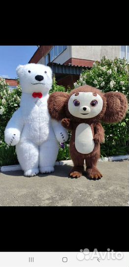 Белый мишка/аниматоры/панда аниматор