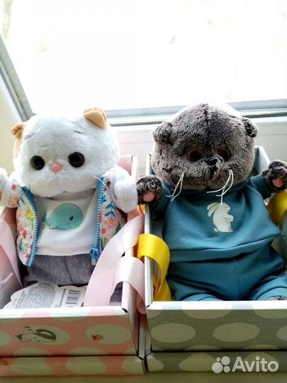 Кот Басик и Лили