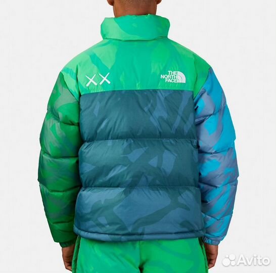 Куртка зимняя The North Face 700