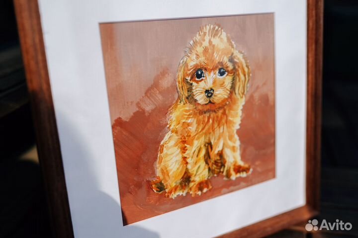 Щенок Мальтипу в добрые руки (картина, акварель)