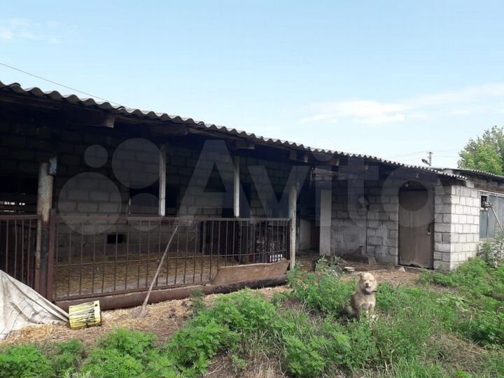 Участок 1,5 га (ИЖС)