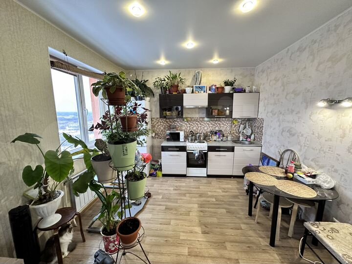 Квартира-студия, 38,3 м², 6/14 эт.