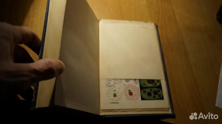 7239 Макаров П.В. Основы цитологии. Учебное пособи