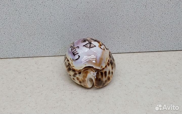 Знак зодиака Стрелец 8 сувенир подарок