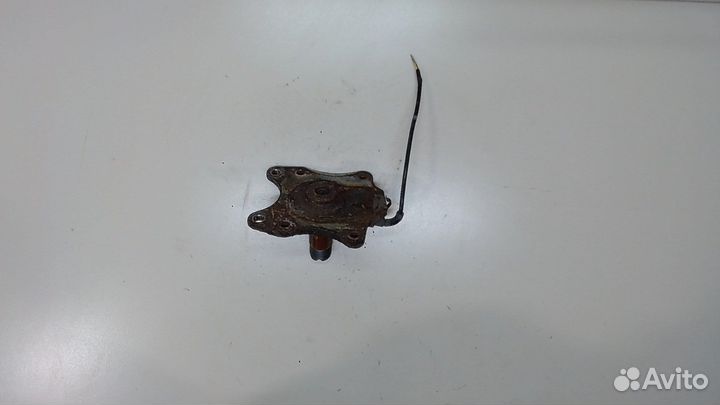 Ступица (кулак, цапфа) Citroen C4, 2010