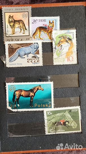 Марки СССР/ Польша/ Монголия/ Вьетнам