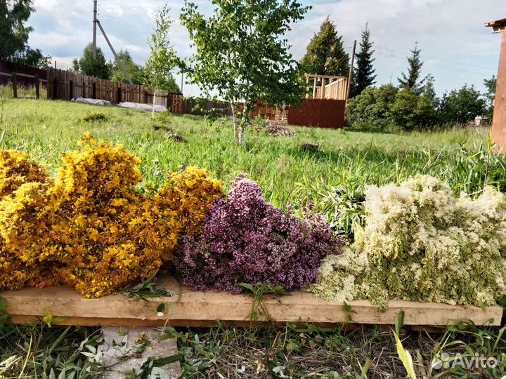 Душица, зверобой. Свежий сбор 2023 г