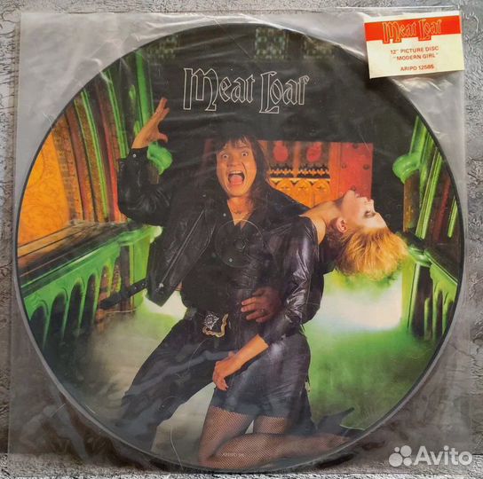 Виниловые пластинки Picture Disc