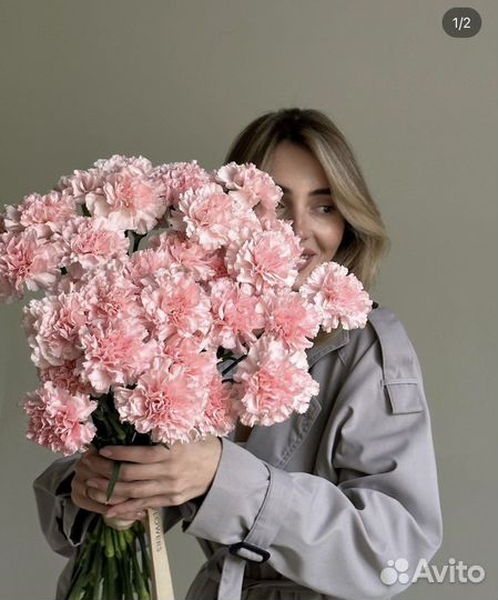 Диантус (гвоздика)