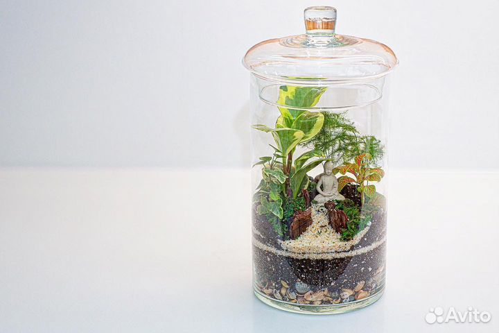 Флорариум закрытый