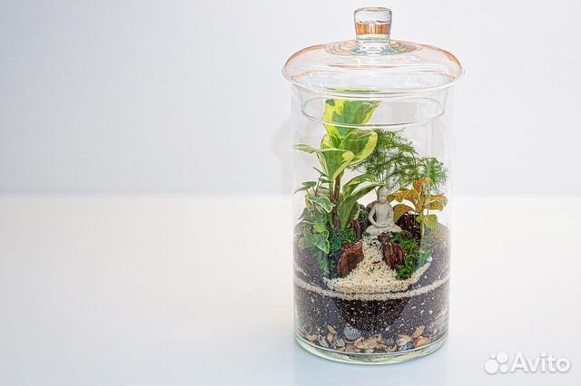 Флорариум закрытый