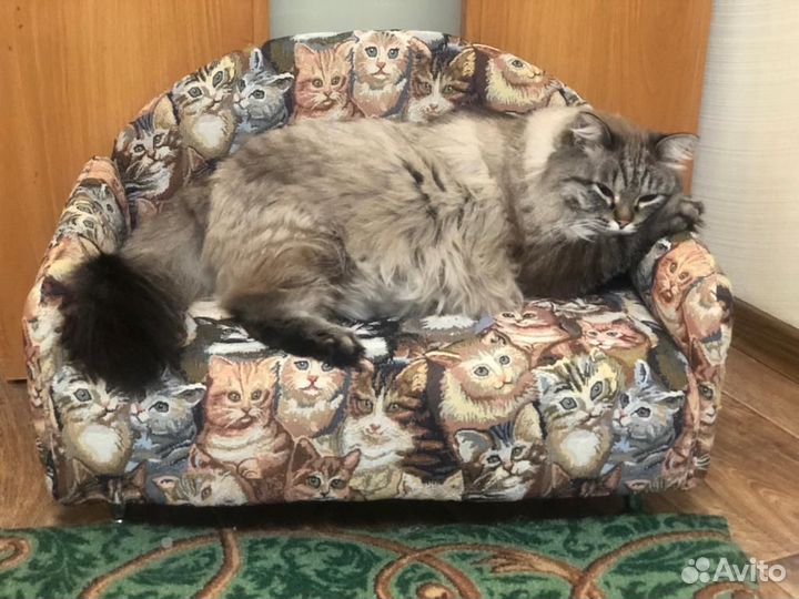 Диван - лежанка для кошек и мелких собак