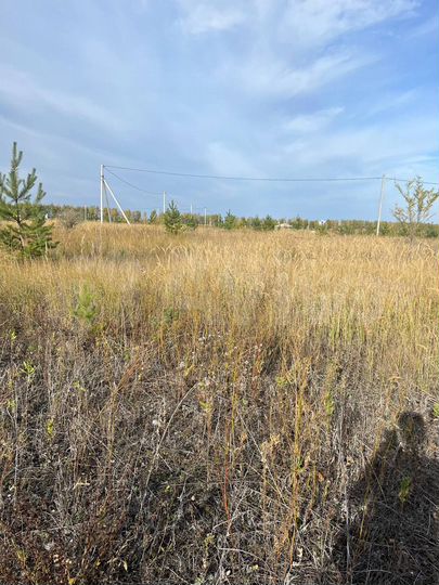 Участок 15 сот. (ИЖС)