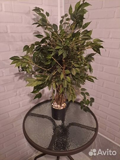 Комнатные растения искусственные