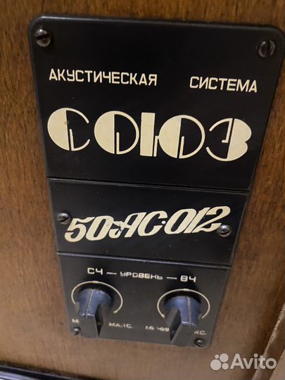 Колонки Союз 50ас-012