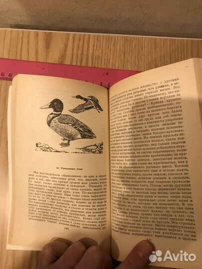 Журнал Охота и Рыбалка 2020 № 9 10 11 12,1