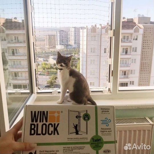 Защита питомцев от выпадения из окон