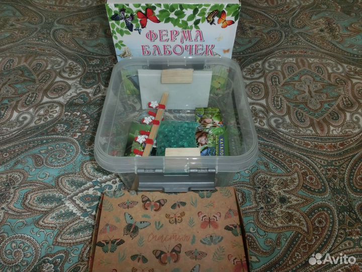 Детская Миниферма Тропических Бабочек ф/б-79