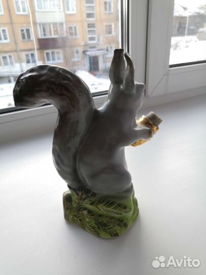 Белка Хайта