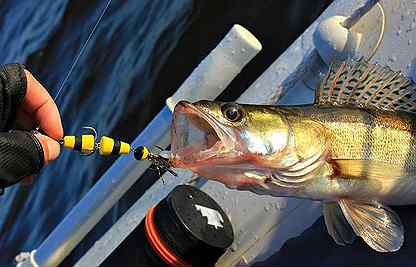 Ловля судака на мандулу. Рыбалка на мандулу на судака. Мандула на щуку. Мандула на щуку. Рыболовная блесна мандула.