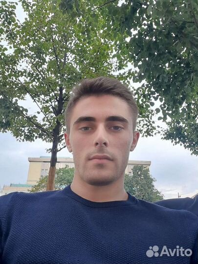 Ассистент категорийного менеджера