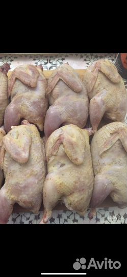 Яйца перепелиные домашние