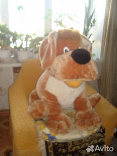 Большая красивая собака