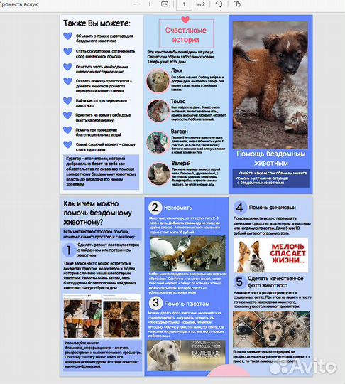 Индивидуальный проект 5-11 класс