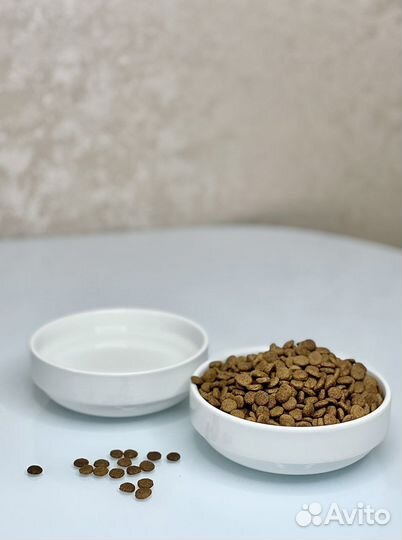 Миска керамическая для кошек и собак