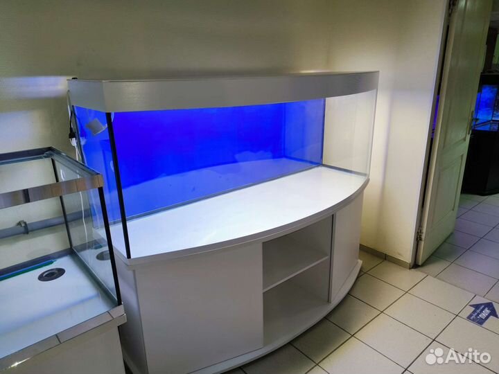 Аквариумы Agua Studio, изготовление на заказ