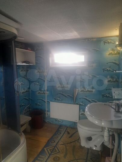 Дом 49 м² на участке 60,3 сот.