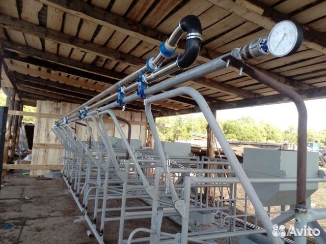 Молокопровод, летний лагерь. 50,100,150,200 голов