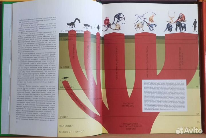 Комплект книг