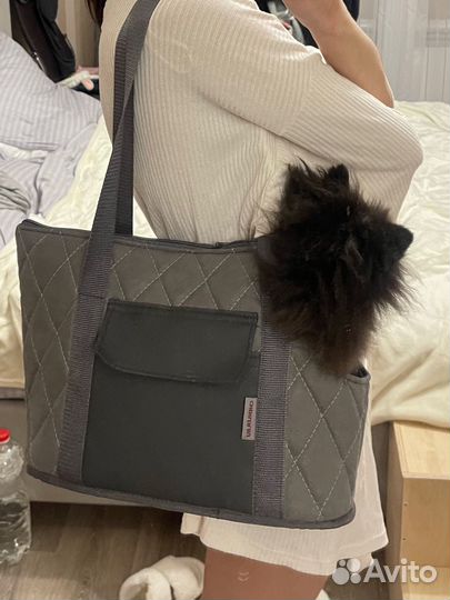 Сумка для маленьких собак